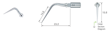 Endodontics/E4 -varios